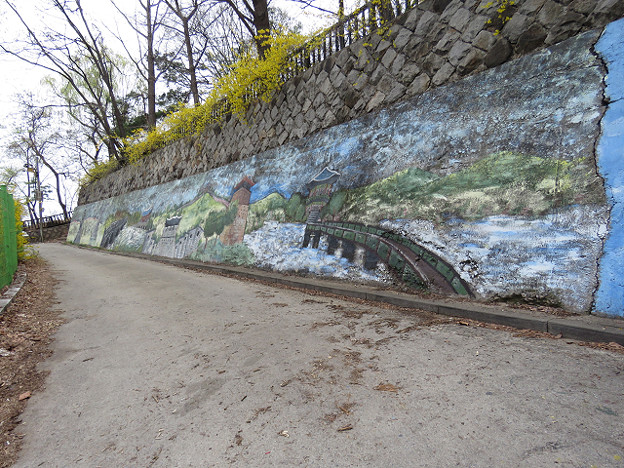 resize2993 写真: resize2993