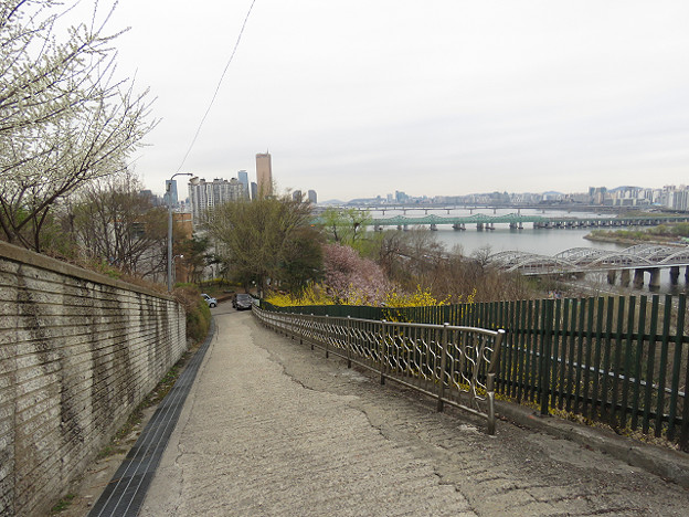 resize2997 写真: resize2997