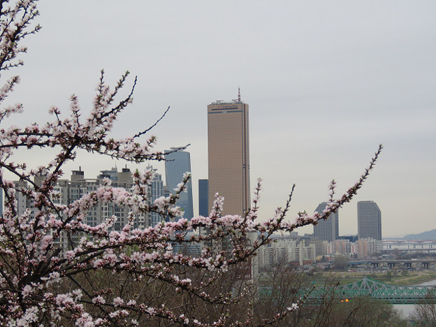resize2999 写真: resize2999