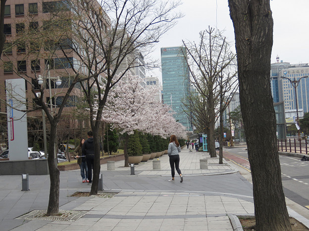 resize3017 写真: resize3017