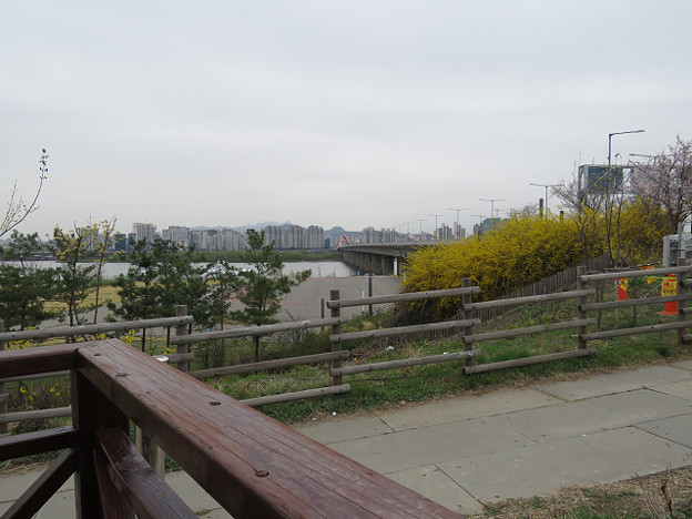 resize3020 写真: resize3020