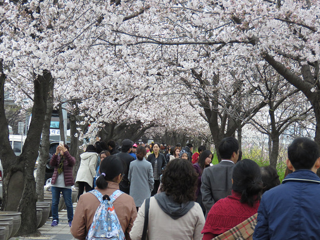 resize3024 写真: resize3024
