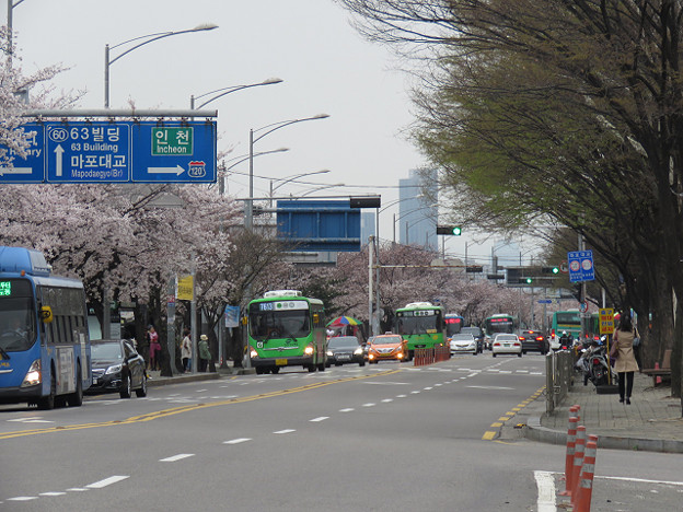 resize3029 写真: resize3029