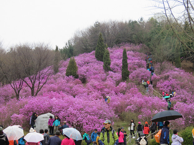 resize3056 写真: resize3056