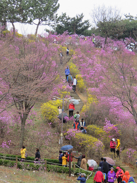resize3090 写真: resize3090