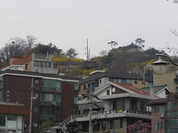 resize3133 写真: resize3133