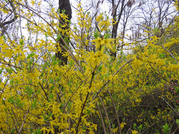 resize3144 写真: resize3144