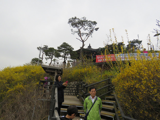 resize3150 写真: resize3150
