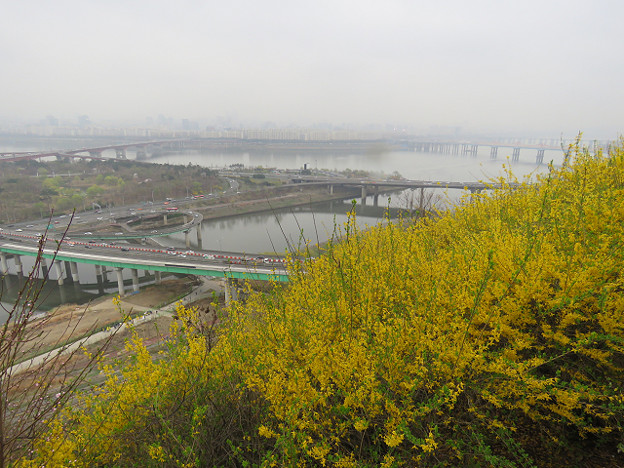 resize3155 写真: resize3155