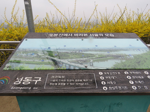 resize3156 写真: resize3156
