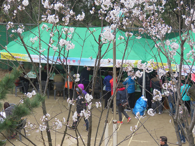 resize3160 写真: resize3160