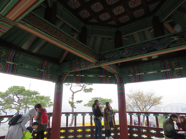 resize3161 写真: resize3161