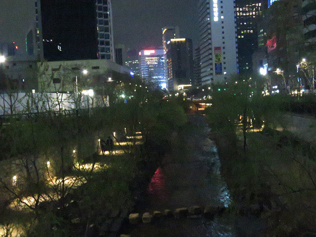 resize3221 写真: resize3221