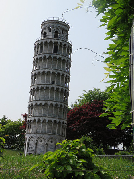 resize3067 写真: resize3067
