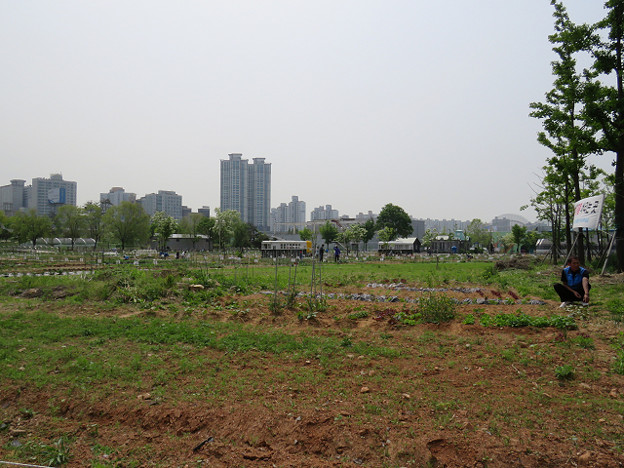 resize3140 写真: resize3140