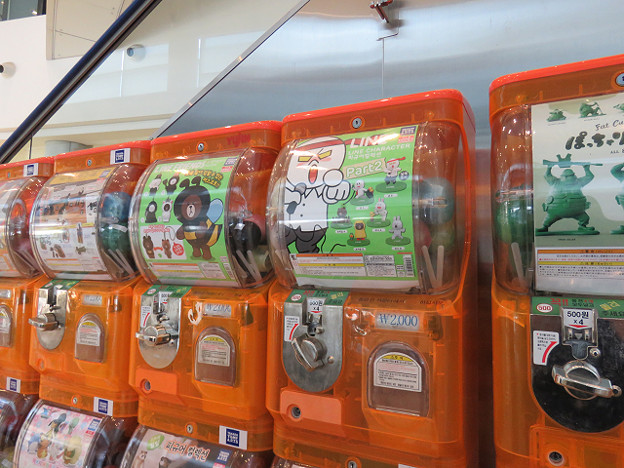 resize3177 写真: resize3177
