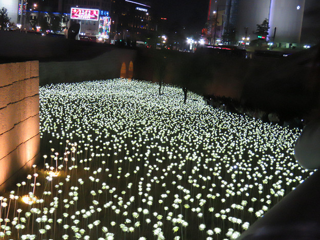 resize3376 写真: resize3376