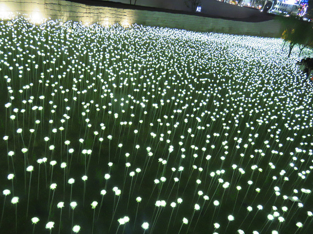 resize3382 写真: resize3382