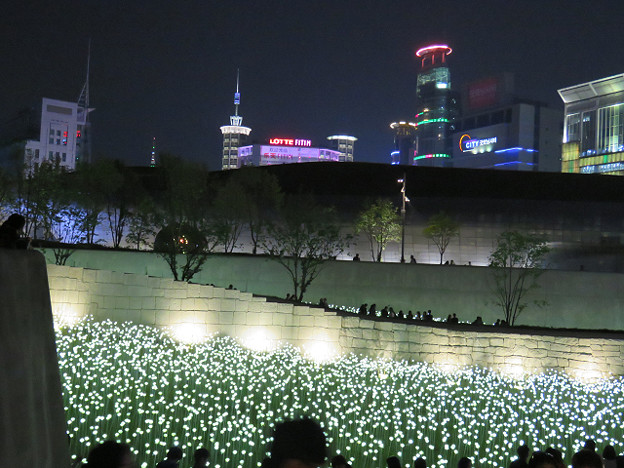 resize3389 写真: resize3389