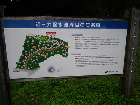 DSCF4186