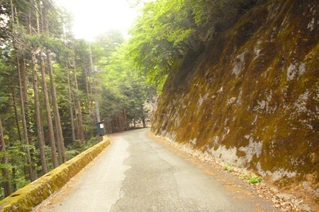 20150529_025Road