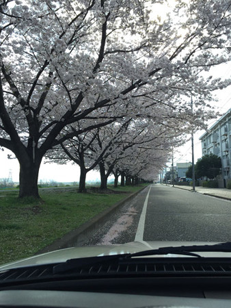 イメージ(1)