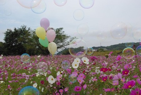 IMGP8132_1022