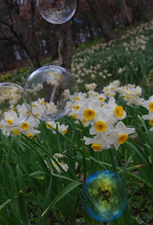 IMGP8995_0325
