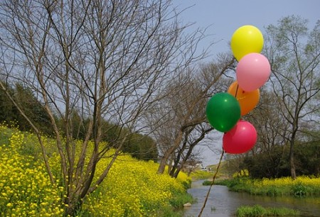 IMGP1340_0408b