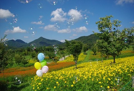 IMGP5532_0907