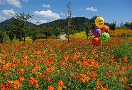 IMGP6890_0914