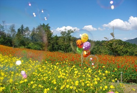 IMGP6960_0914
