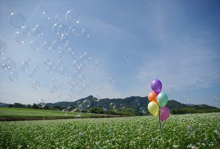 IMGP7927_0923