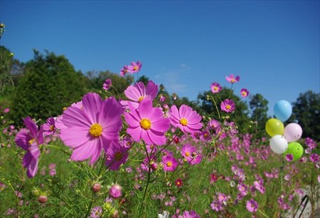 IMGP8502_09.27
