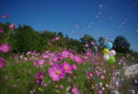 IMGP8529_09.27
