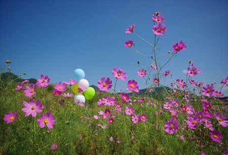 IMGP8667_0927