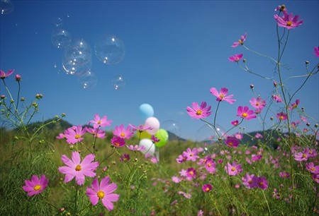 IMGP8679_0927