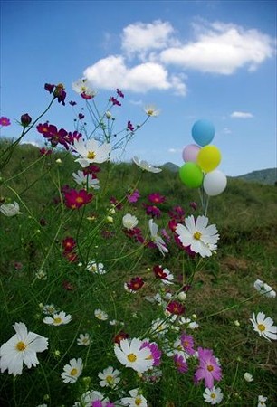IMGP8803_0927