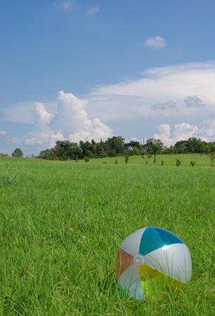 IMGP0506_0812