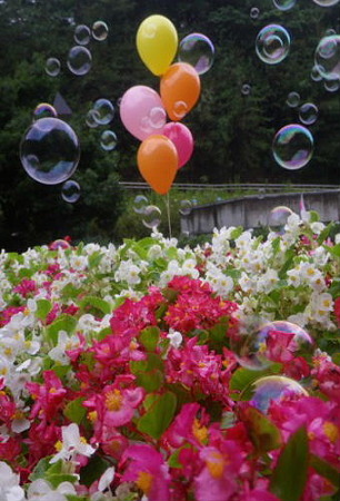 IMGP1567_0821