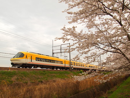 近鉄23000系京伊特急 近鉄橿原線ファミリー公園前~結崎