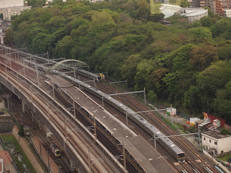 E231系 東北本線尾久~赤羽