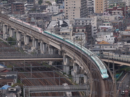 E5系はやぶさ 東北新幹線大宮~上野02