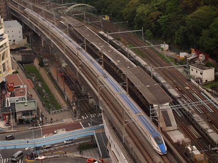 E7系はくたか 東北新幹線上野~大宮