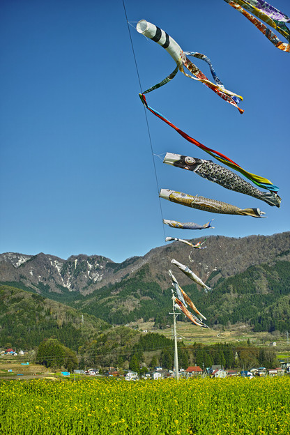 SDIM0669