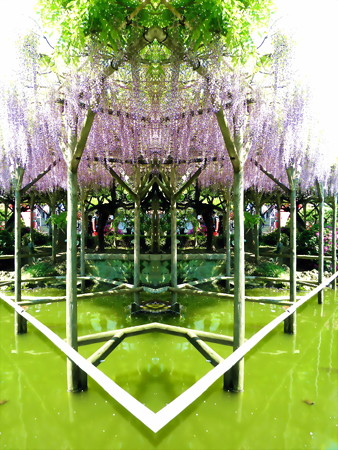 花物語_藤-01