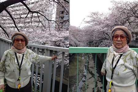 sakura3