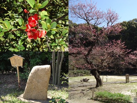 徳川園4