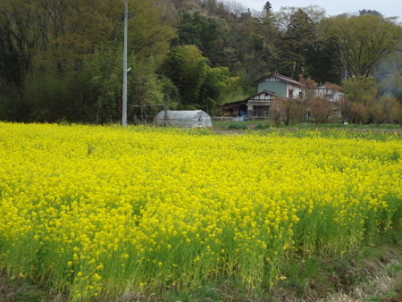 DSC08905