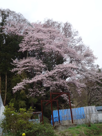 DSC08935